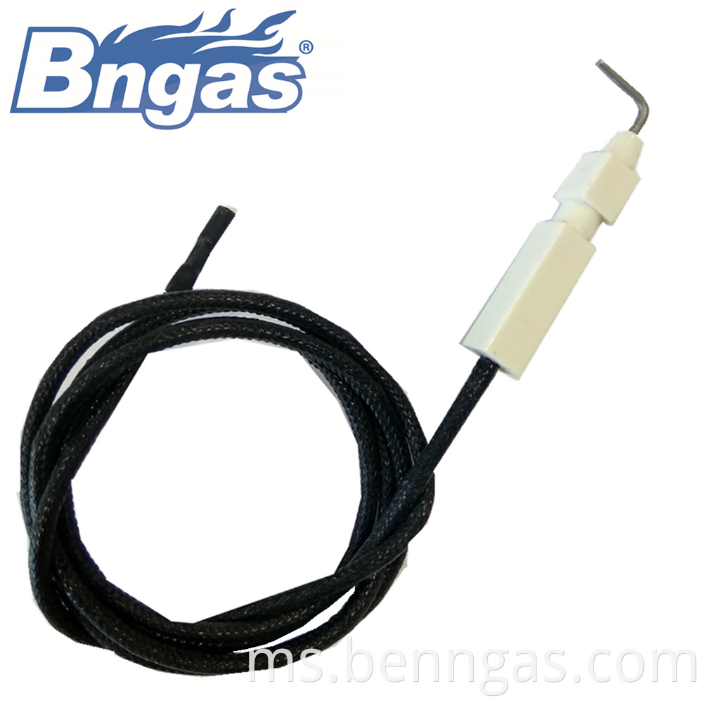 ignition electrodes ceramic igniter